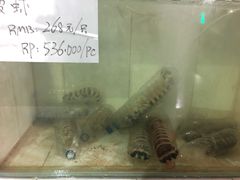 -海盗餐厅