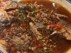 -彭耕记猪油炒小菜(吉联mall店)