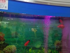 -雅悦齿科(顾村公园店)