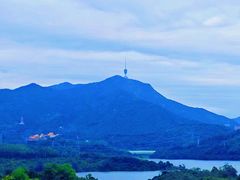 -深圳仙湖植物园