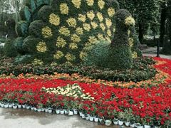 -石家庄市植物园