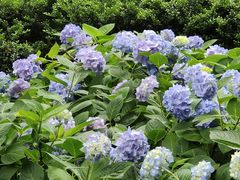 -常州古运河南大街文化旅游区-人民公园