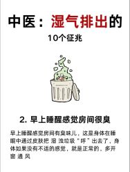 -Fundi张玉珊修身堂·indiba·BTL科技瘦身