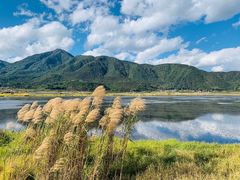 -腾冲北海湿地