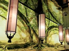 -大榕树下顺德菜(融创茂店)