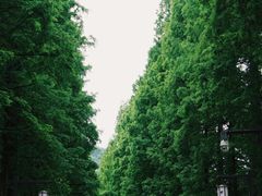 -青城山