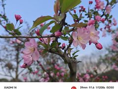 -院士公园
