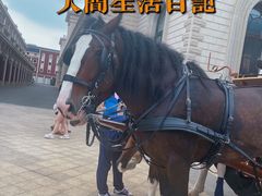-海底捞火锅(飞马水城店)