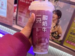 -一只酸奶牛(八一路店)