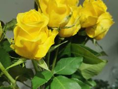 -何兮花店·气球派对鲜花店(马桥银春路万科城店)