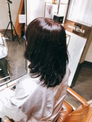 -崇尚GAVIN STYLE臻选