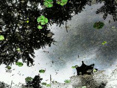 -四川大学(华西校区)