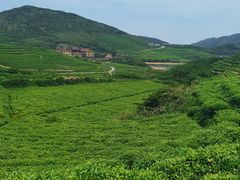 -嵛山岛