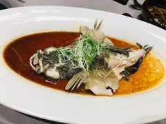 -子福慧(虹桥店)