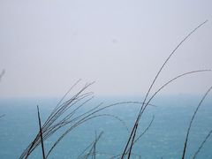 -枸杞岛