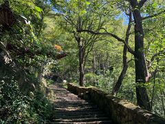 -大罗山风景区