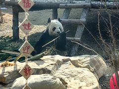 -泉城欧乐堡梦幻世界