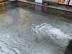 -水善汇旗舰店(金牛路店)