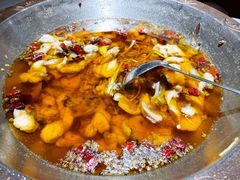 -雲蜀龙阁·金牌水煮鱼(方庄店)