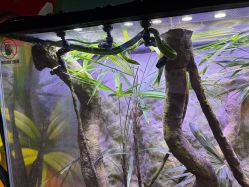 -酷嗒动物文化乐园(cutezoo西溪乐天城店)