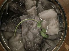 -白乐天毛肚火锅馆(南滨路店)