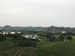 -帐篷客·溪龙茶谷度假酒店