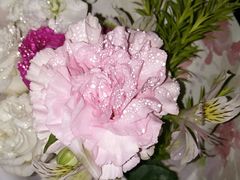 -新荟城(望京店)