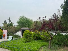 -北京凤凰岭