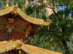 -护国法轮寺