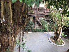 -东部华侨城