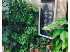 -No Cat 手碟