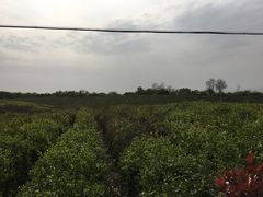 -南京市江宁方山