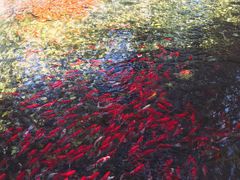 -水磨沟公园