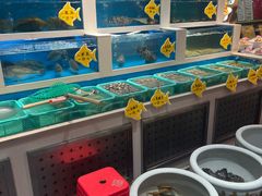 -东北大院·东北菜(三台子店)