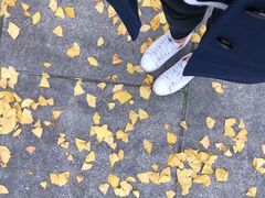 -百林公园-两江幸福广场