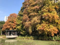 -四海公园(南山区)
