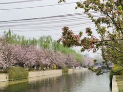 -元大都城垣遗址公园