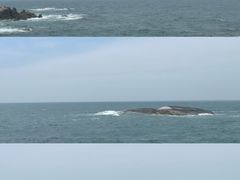 -汕尾风车岛