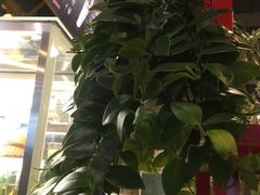 -雕刻时光咖啡馆(北苑店)