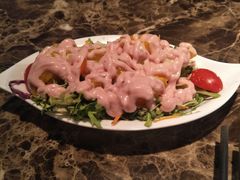 芒果蔬菜色拉-猪啊牛呀羊啊铜盘烤肉(正大广场店)