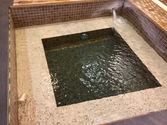 -中家鑫园温泉酒店鑫悦汤泉