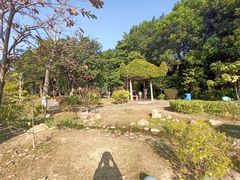 -东莞植物园