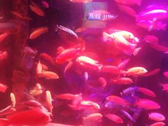 -沈阳海洋探索中心