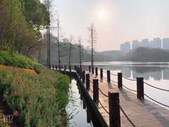 -重庆彩云湖湿地公园