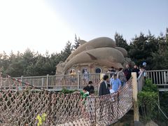 -朱家尖南沙景点