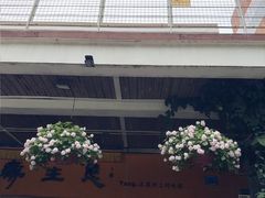 -缘生态云南菜·野生菌庭院餐厅(华侨城店)