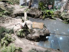 -辽宁古生物博物馆