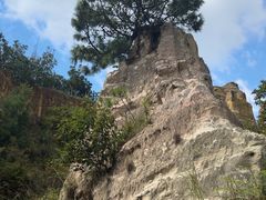 -彩色沙林风景区