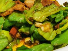 青椒炒肉-陶然居·重庆菜(两江会馆店)