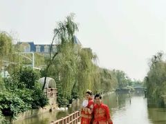 -百万葵园